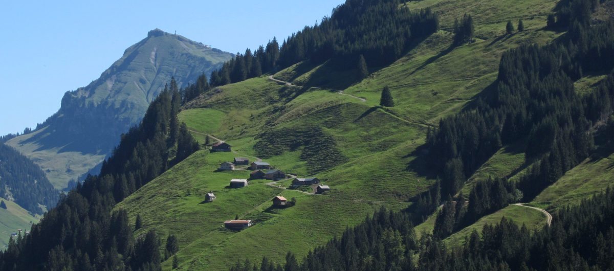 Diedamskopf und Alpe im Hochsommer bregenzerwald hotel krone au